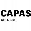 成都汽车零配件及售后服务展览会CAPAS