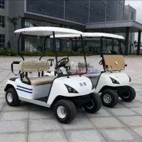 贵州机场巡逻车、电动高尔夫球车、治安巡逻车