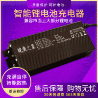 智能锂电池充电器48V5A60V8A72V10A15A20A大功率电动车锂电池快充