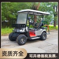 定制高尔夫两人四轮电动车可做景区代步旅游观光电瓶车