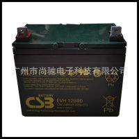 CSB蓄电池EVH12390 12V39AH/6-DZM-27医疗设备仪器仪表UPS电瓶