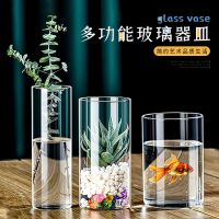 高硼硅直筒玻璃花瓶绿萝小鱼缸插花器水培景观花盆花瓶玻璃摆件